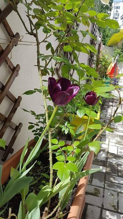 2 camere cu loc parcare exterior inclus Bucuresti/Decebal