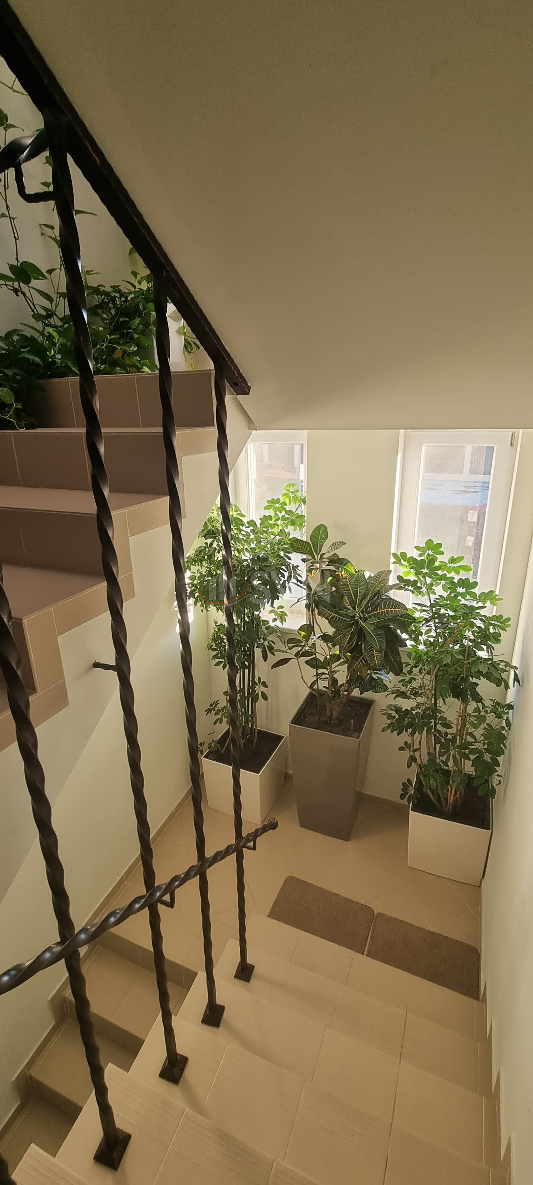 3 camere cu loc parcare exterior inclus Ilfov/Otopeni