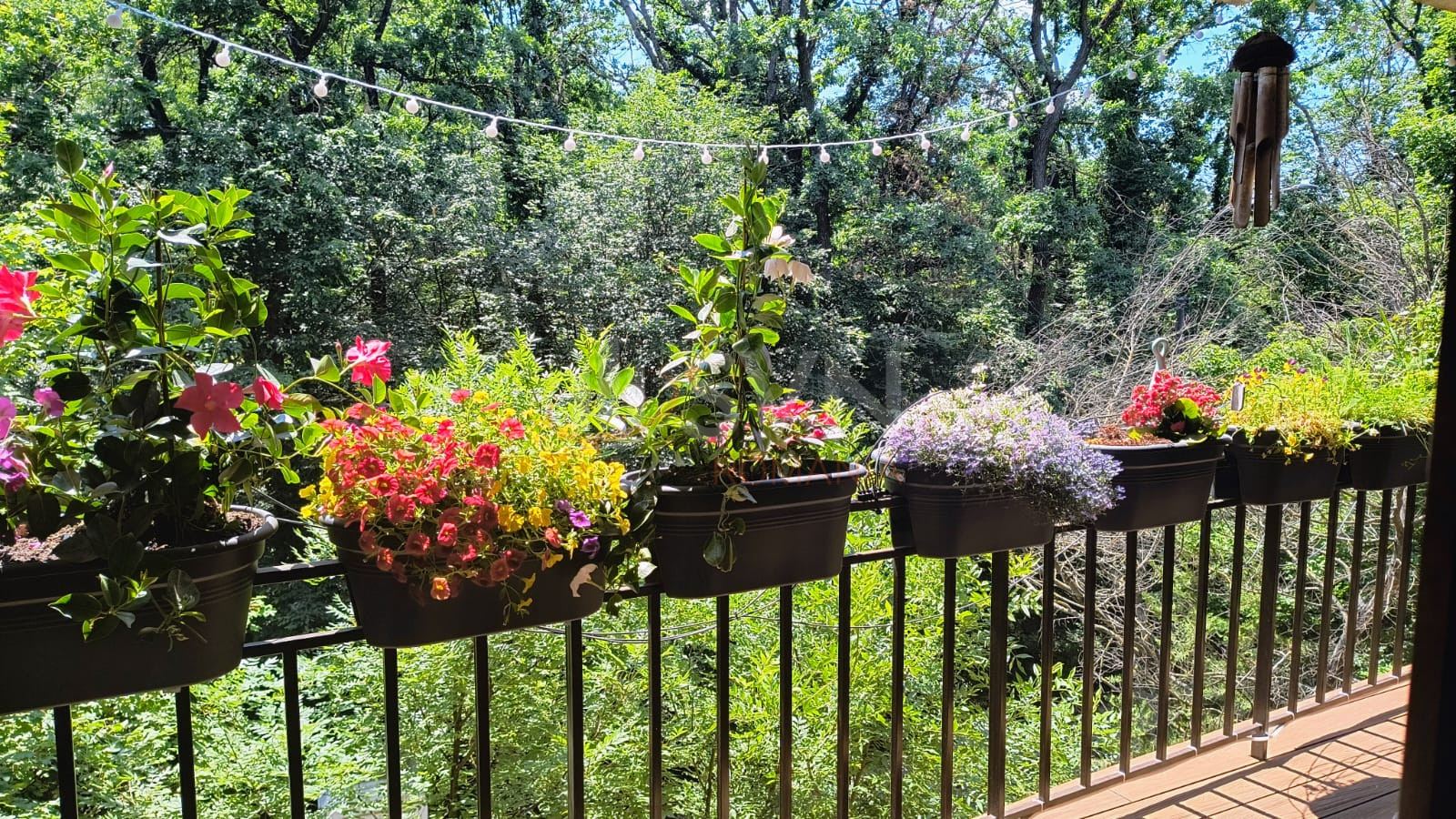 3 camere cu loc parcare exterior inclus Bucuresti/Baneasa