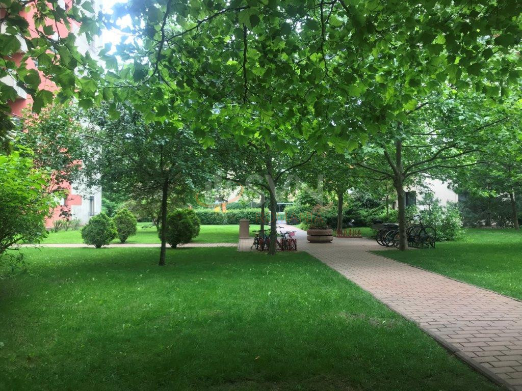 3 camere cu loc parcare subteran inclus Bucuresti/Stefan Cel Mare
