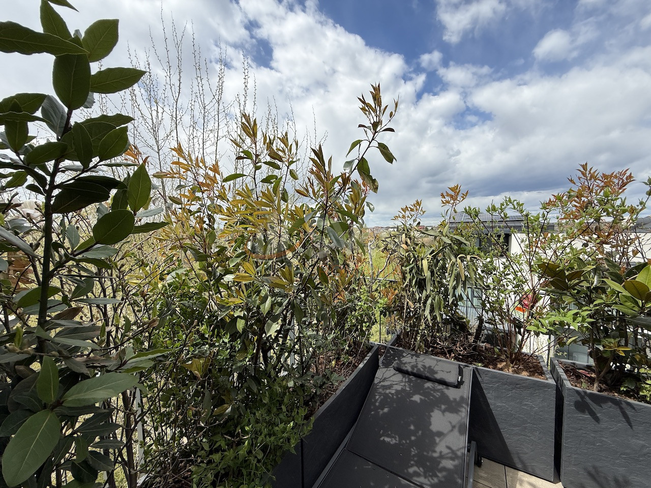 4 camere cu loc parcare subteran inclus Bucuresti/Pipera