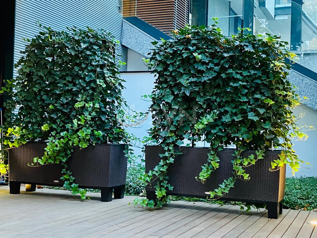 4 camere cu loc parcare subteran inclus Bucuresti/Primaverii