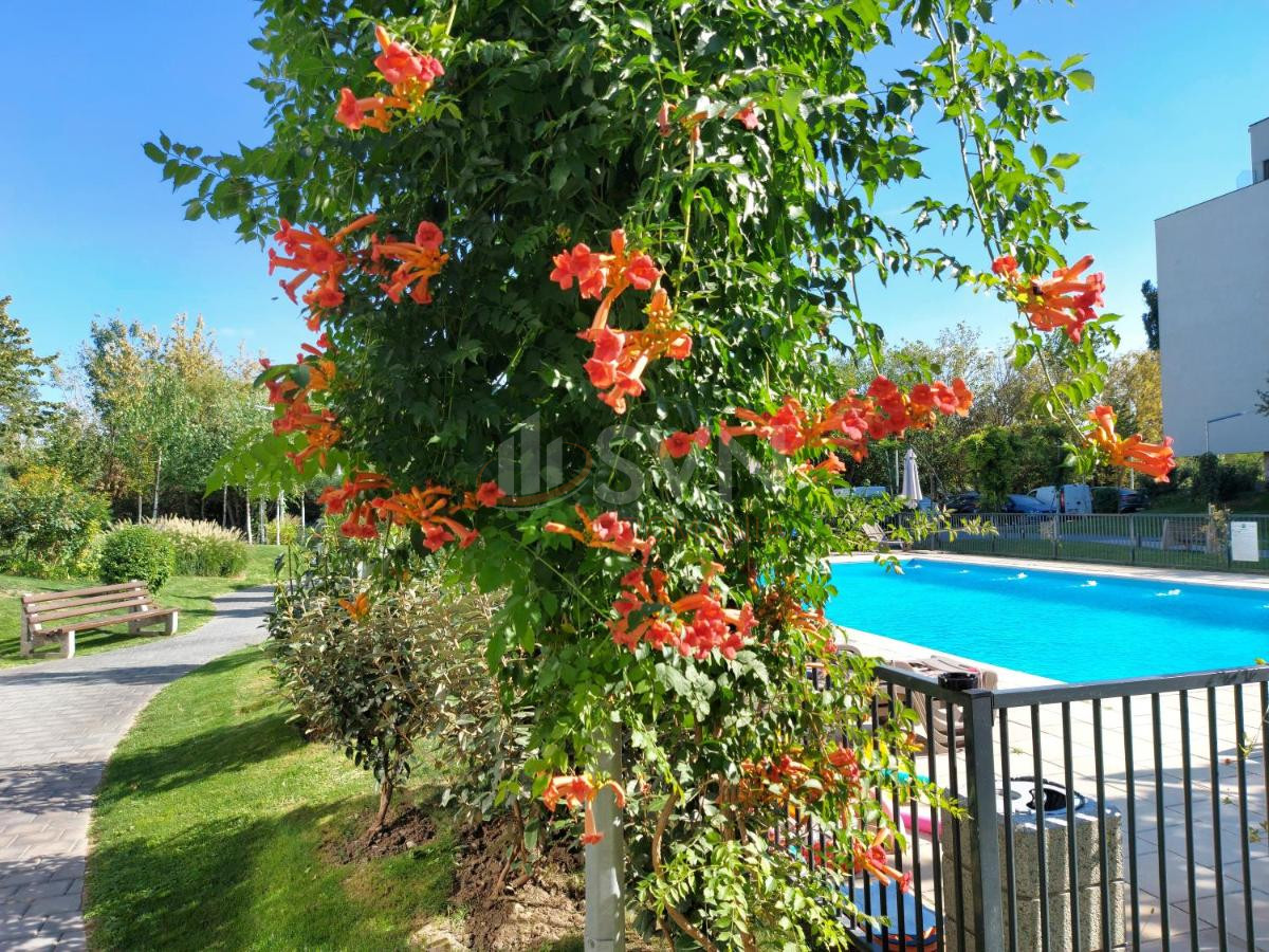 Apartament, 2 camere Bucuresti/Chitila