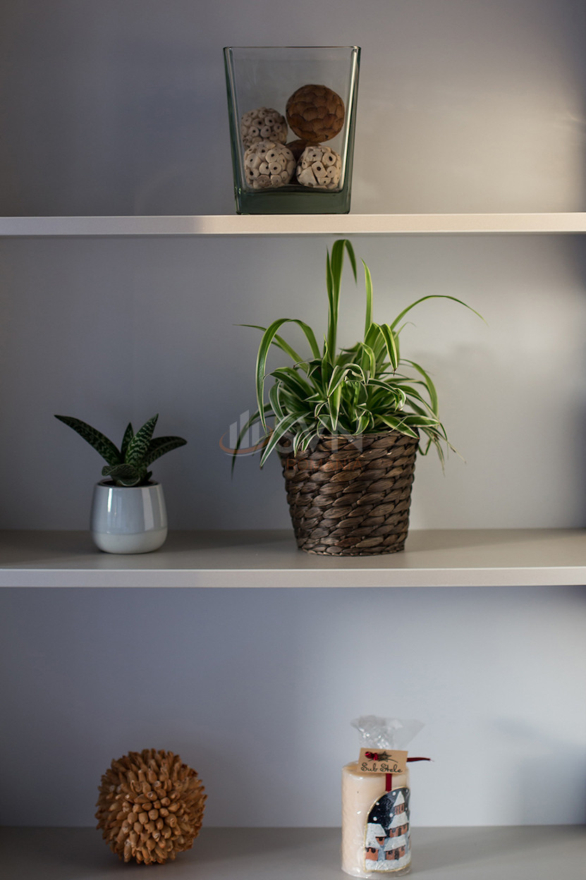 Apartament, 2 camere Bucuresti/13 Septembrie