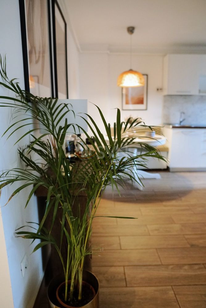 Apartament, 2 camere Cluj/Plopilor