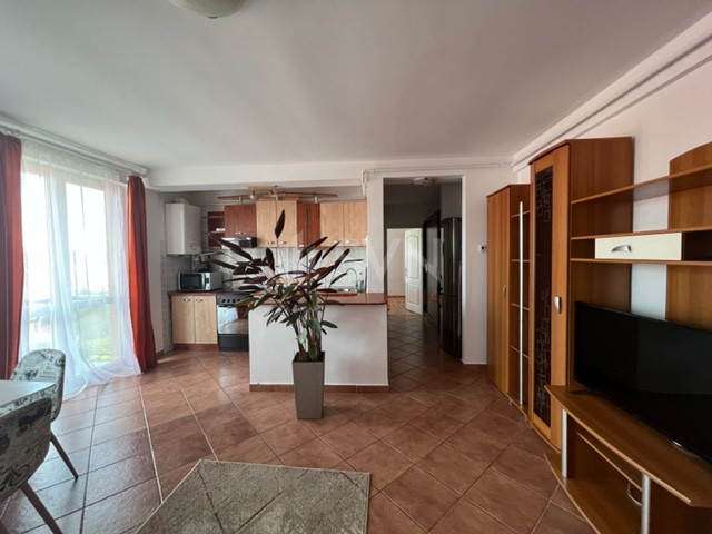 Apartament, 2 camere Cluj/Andrei Muresanu