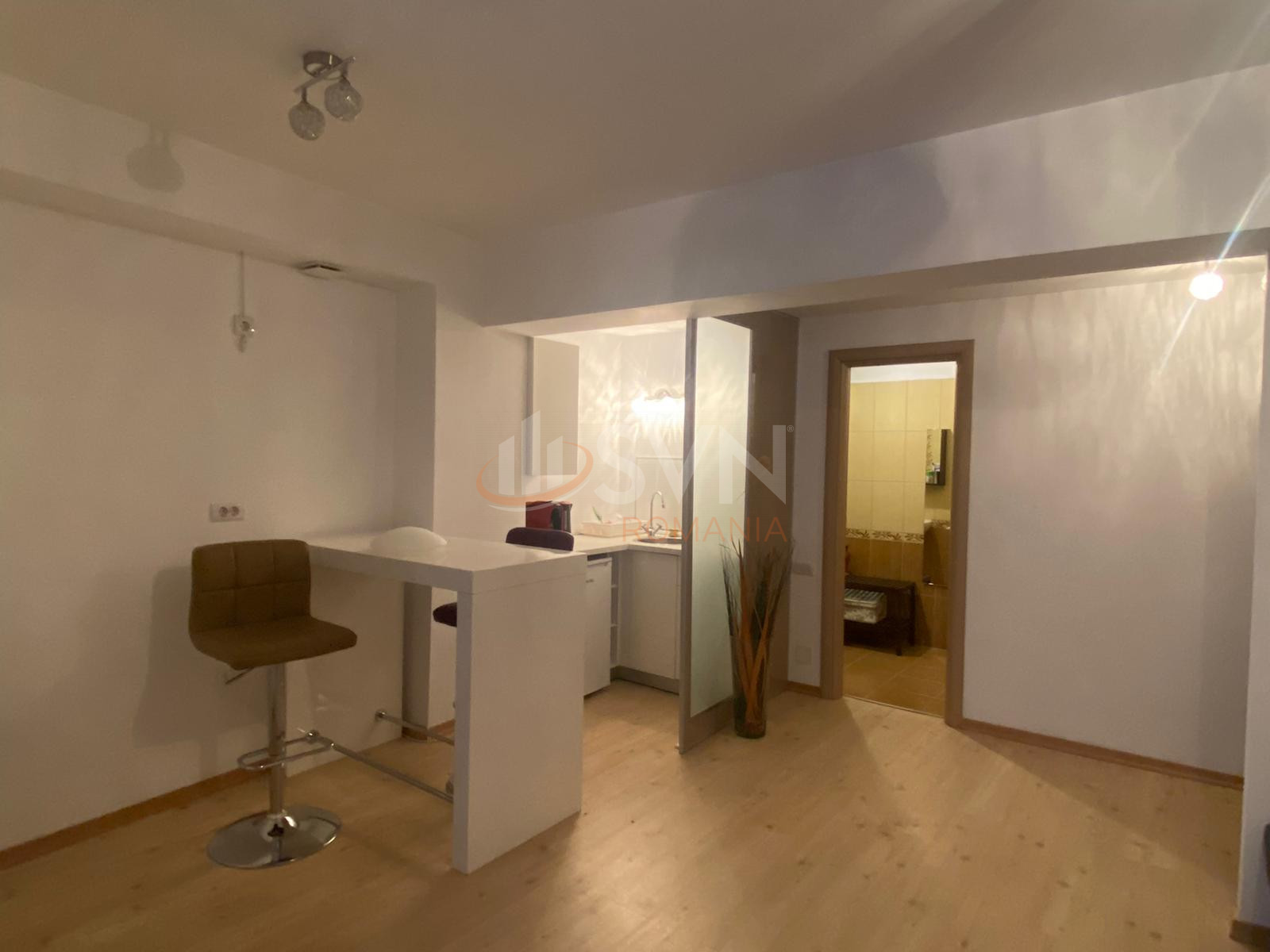 Apartament, 2 camere Bucuresti/Herastrau
