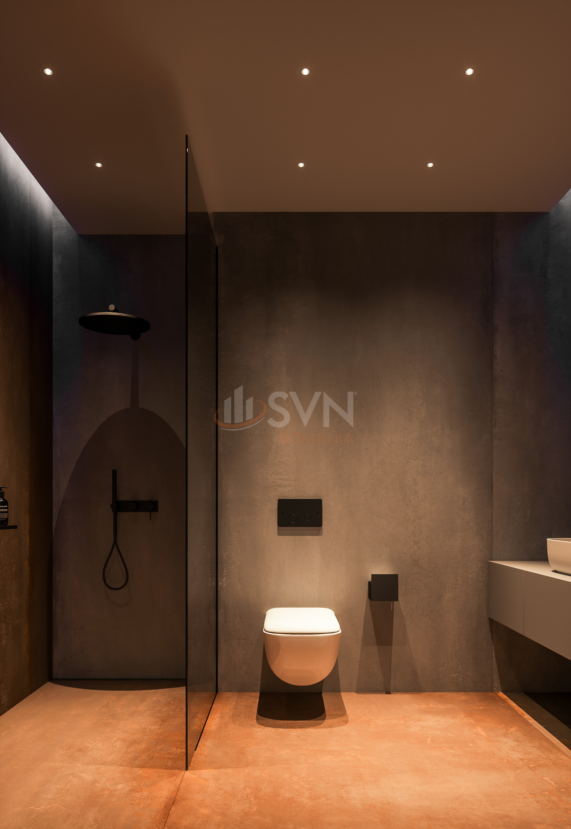 Apartament, 2 camere Bucuresti/Baneasa