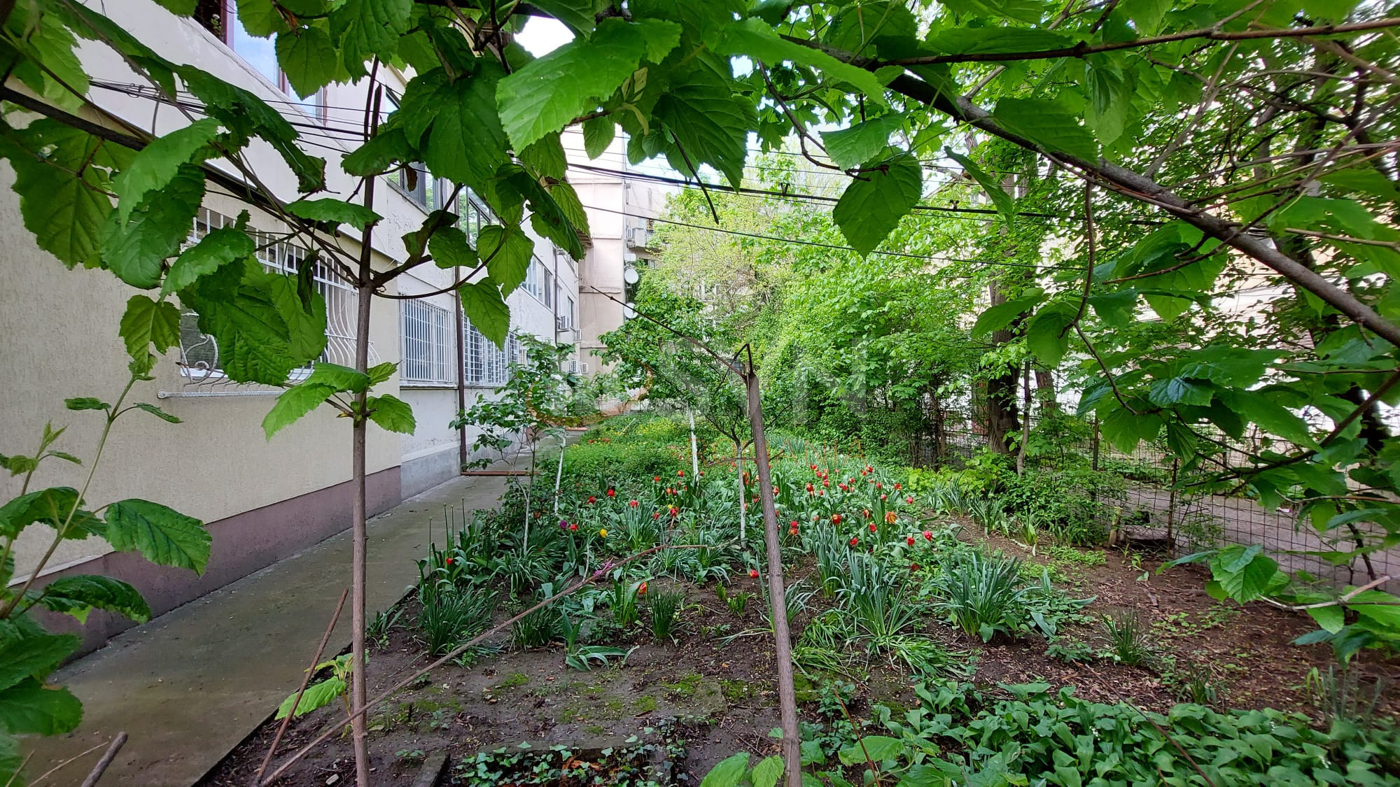 Apartament, 2 camere Bucuresti/13 Septembrie