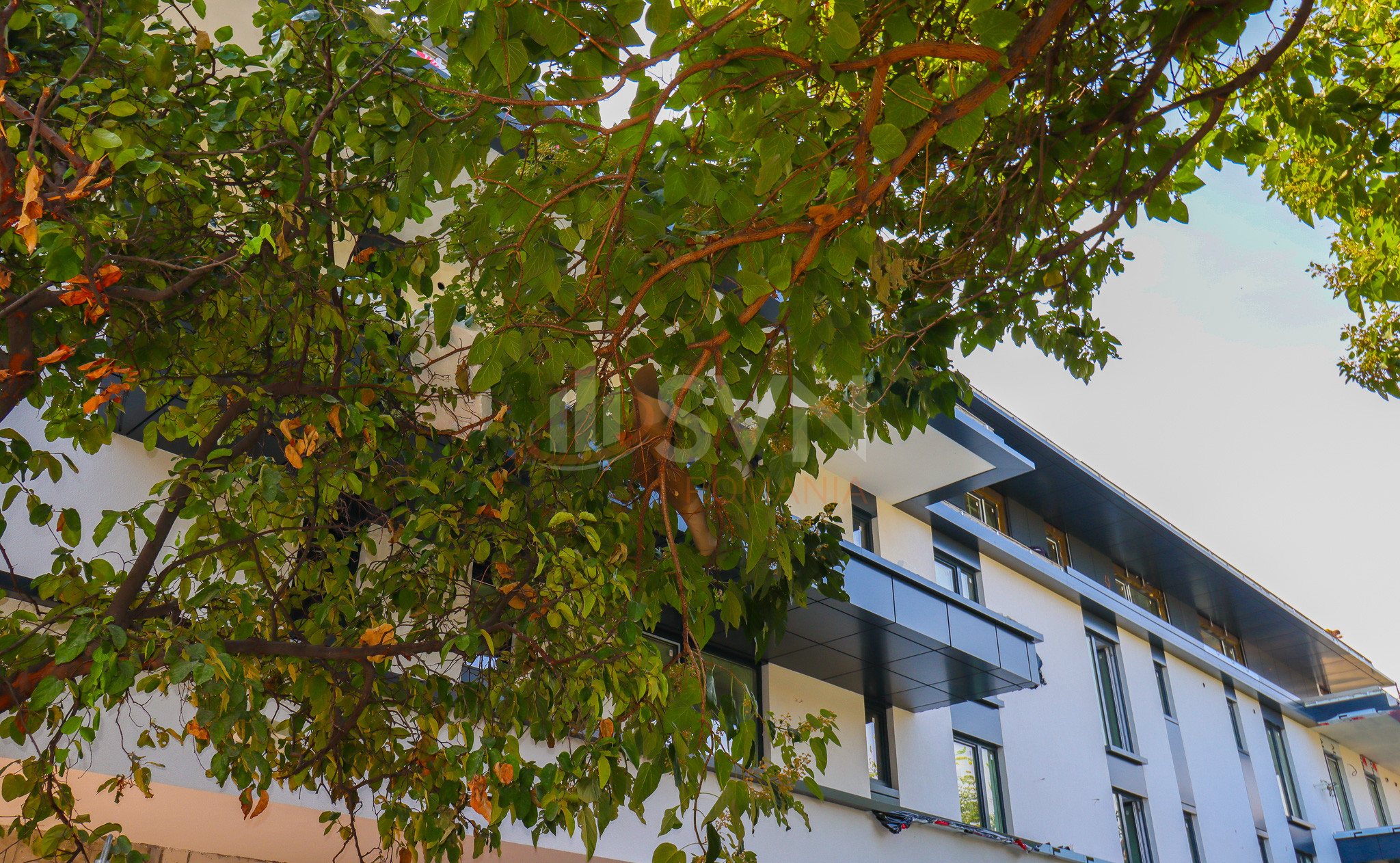 Apartament, 2 camere Bucuresti/Parcul Carol