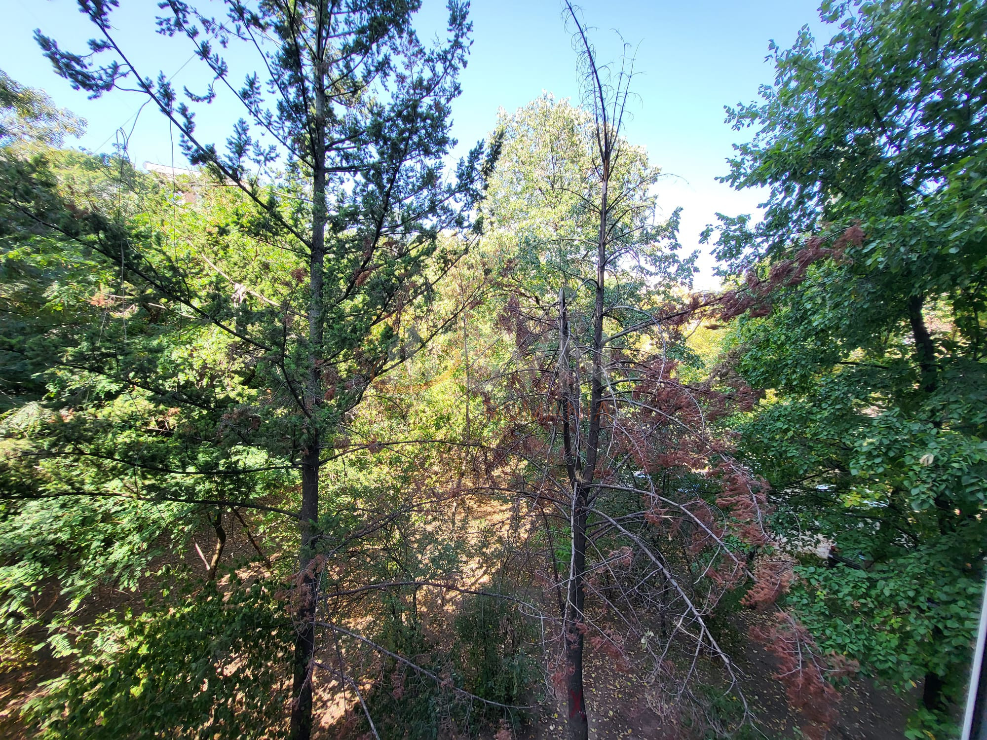 Apartament, 2 camere Bucuresti/Compozitorilor