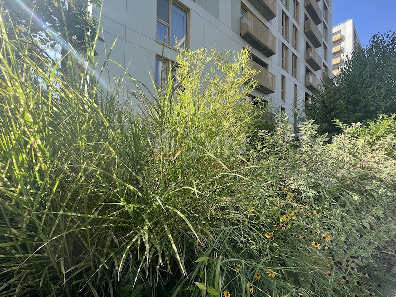 Apartament, 2 camere Bucuresti/Aviatiei