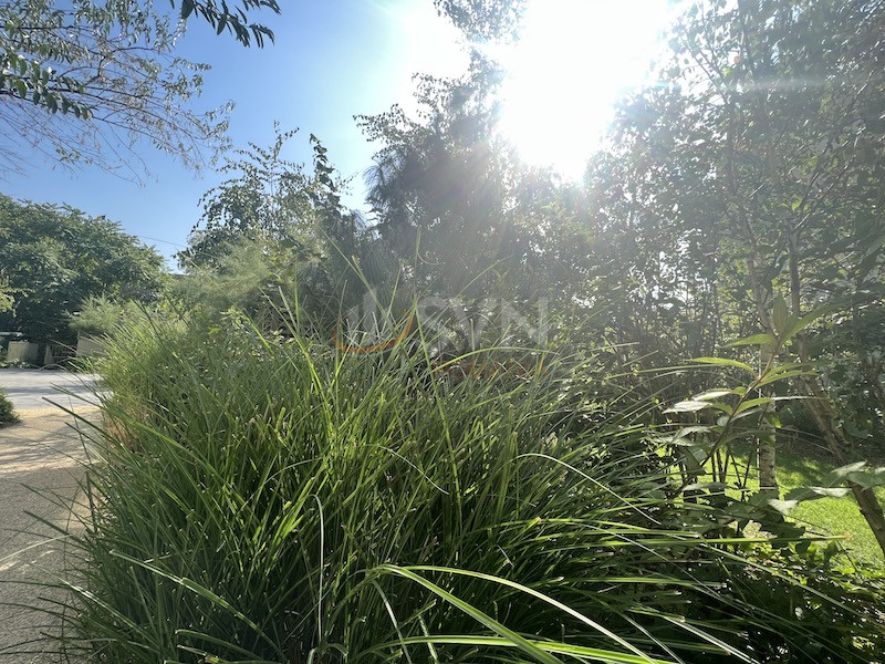 Apartament, 2 camere Bucuresti/Aviatiei