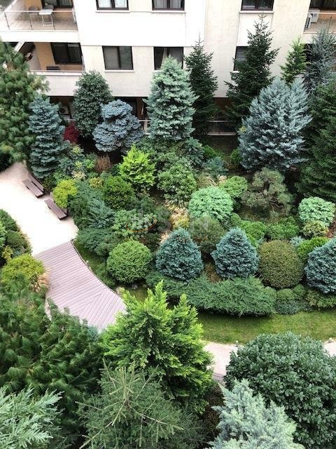 Apartament, 2 camere Bucuresti/Herastrau