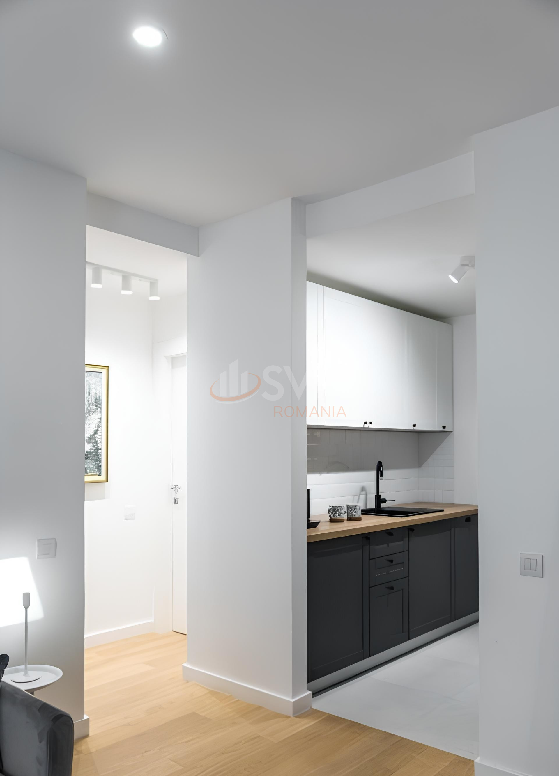 Apartament, 2 camere Bucuresti/Herastrau