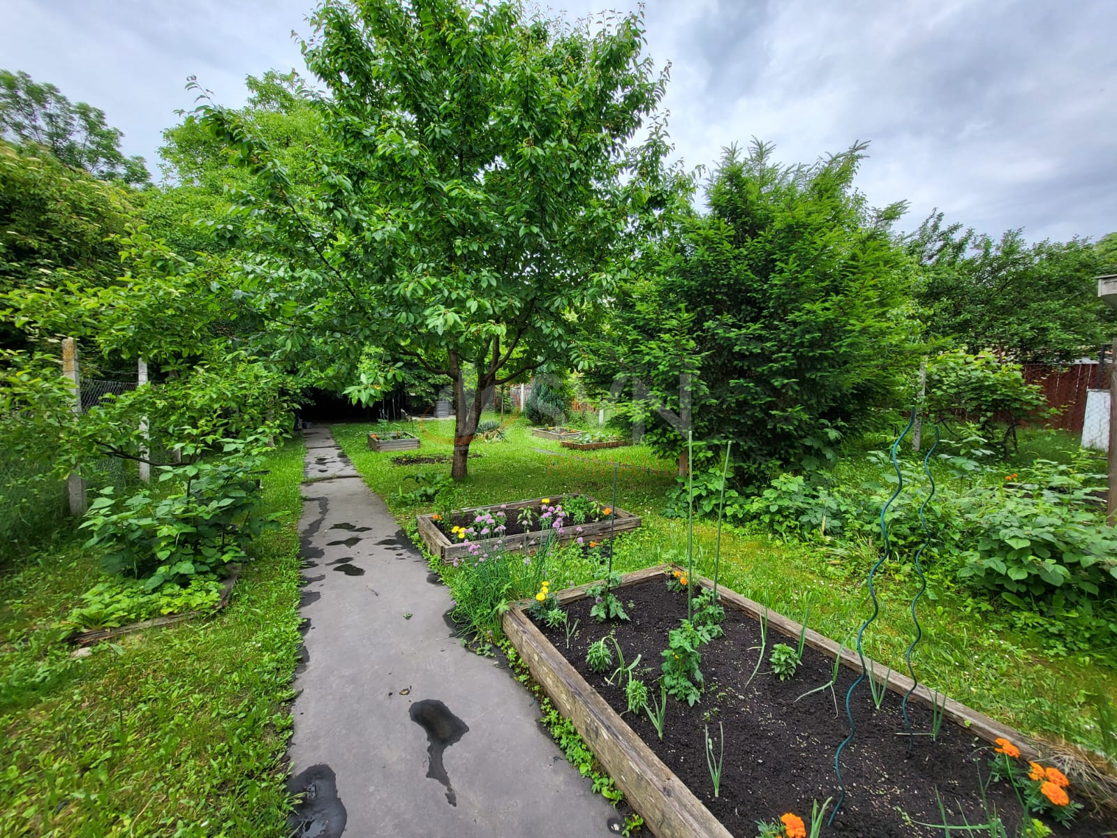Apartament, 2 camere Cluj/Andrei Muresanu