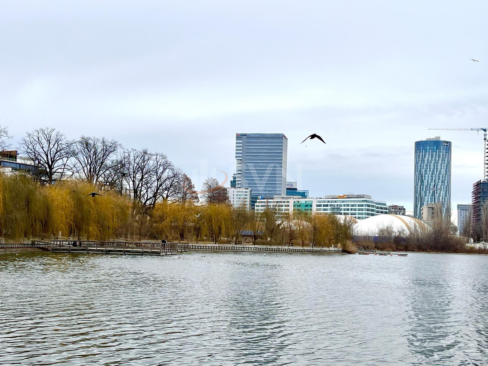 Apartament, 2 camere Bucuresti/Floreasca