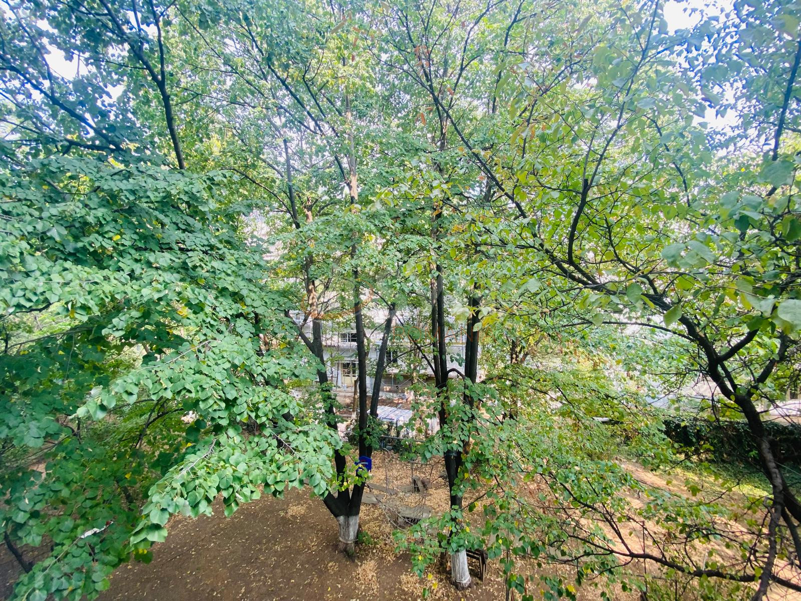 Apartament, 2 camere Bucuresti/Pacii