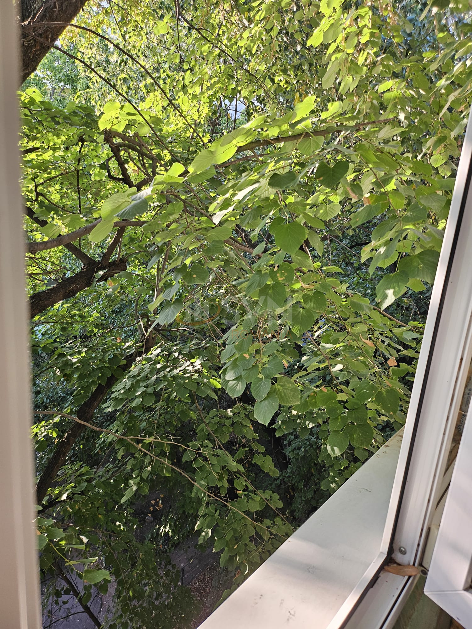 Apartament, 2 camere Bucuresti/Floreasca