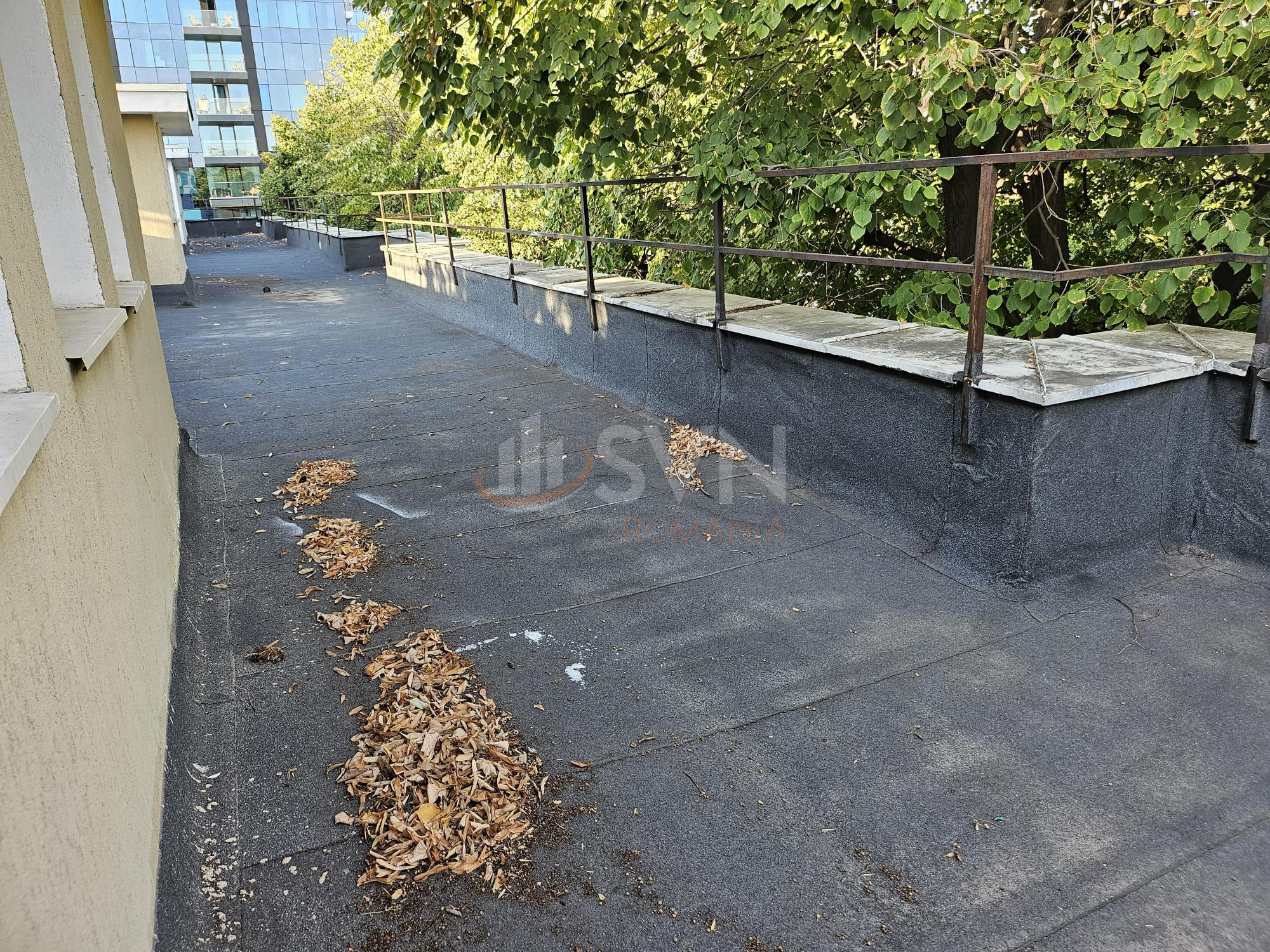 Apartament, 2 camere Bucuresti/Floreasca