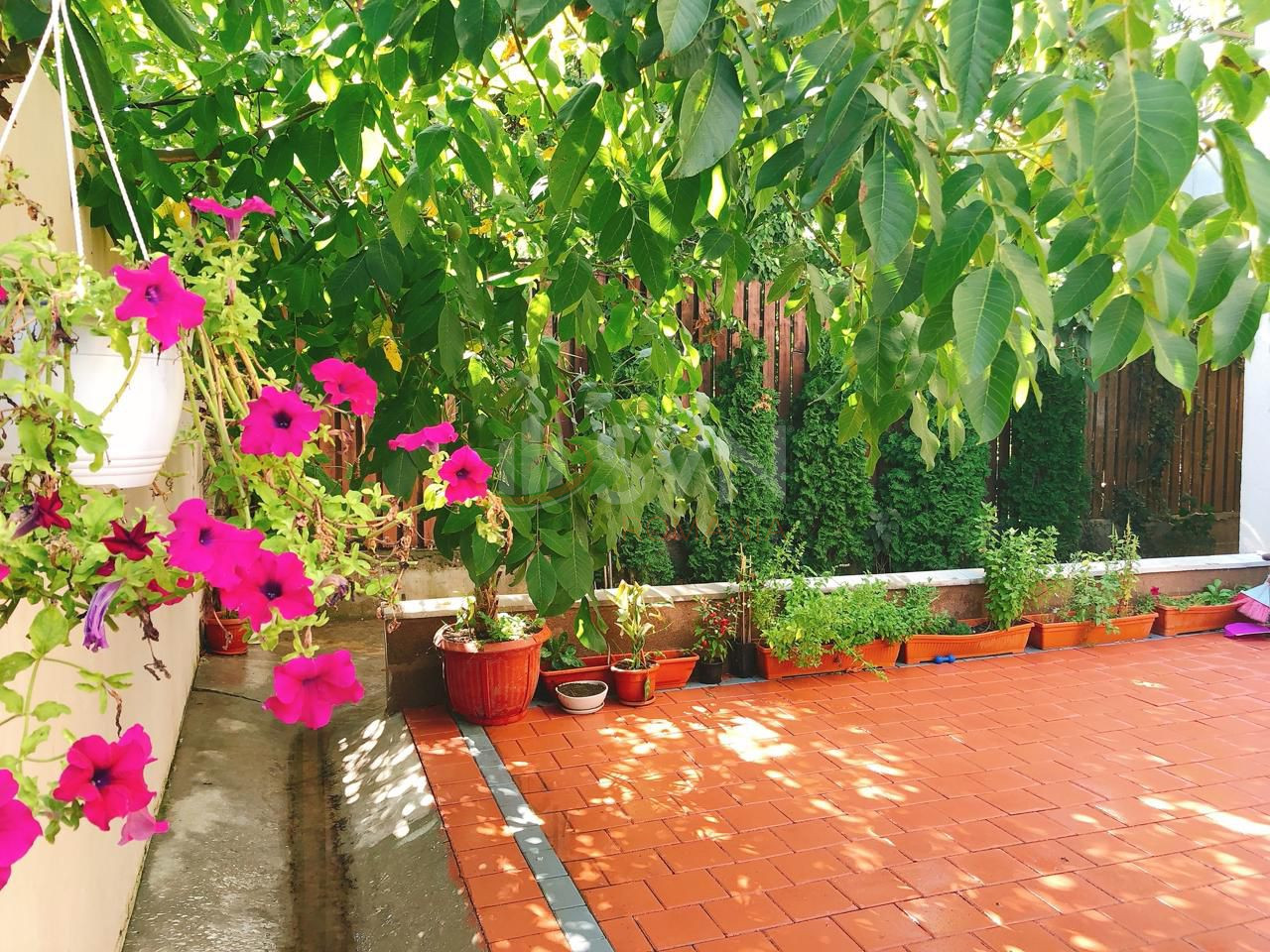 Apartament, 2 camere Bucuresti/Pipera