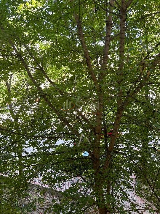 Apartament, 3 camere Bucuresti/Nerva Traian