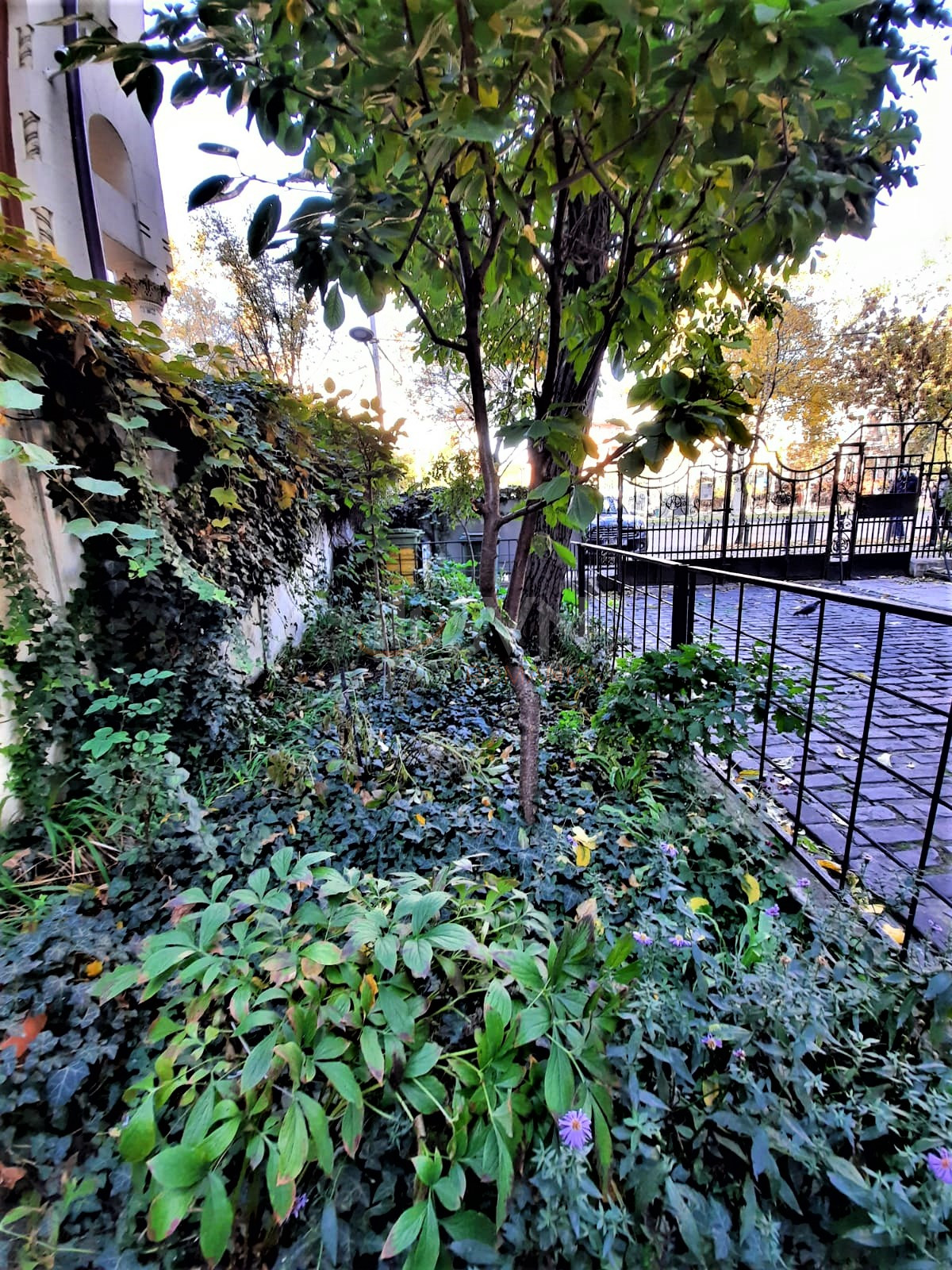 Apartament, 3 camere Bucuresti/Piata Romana