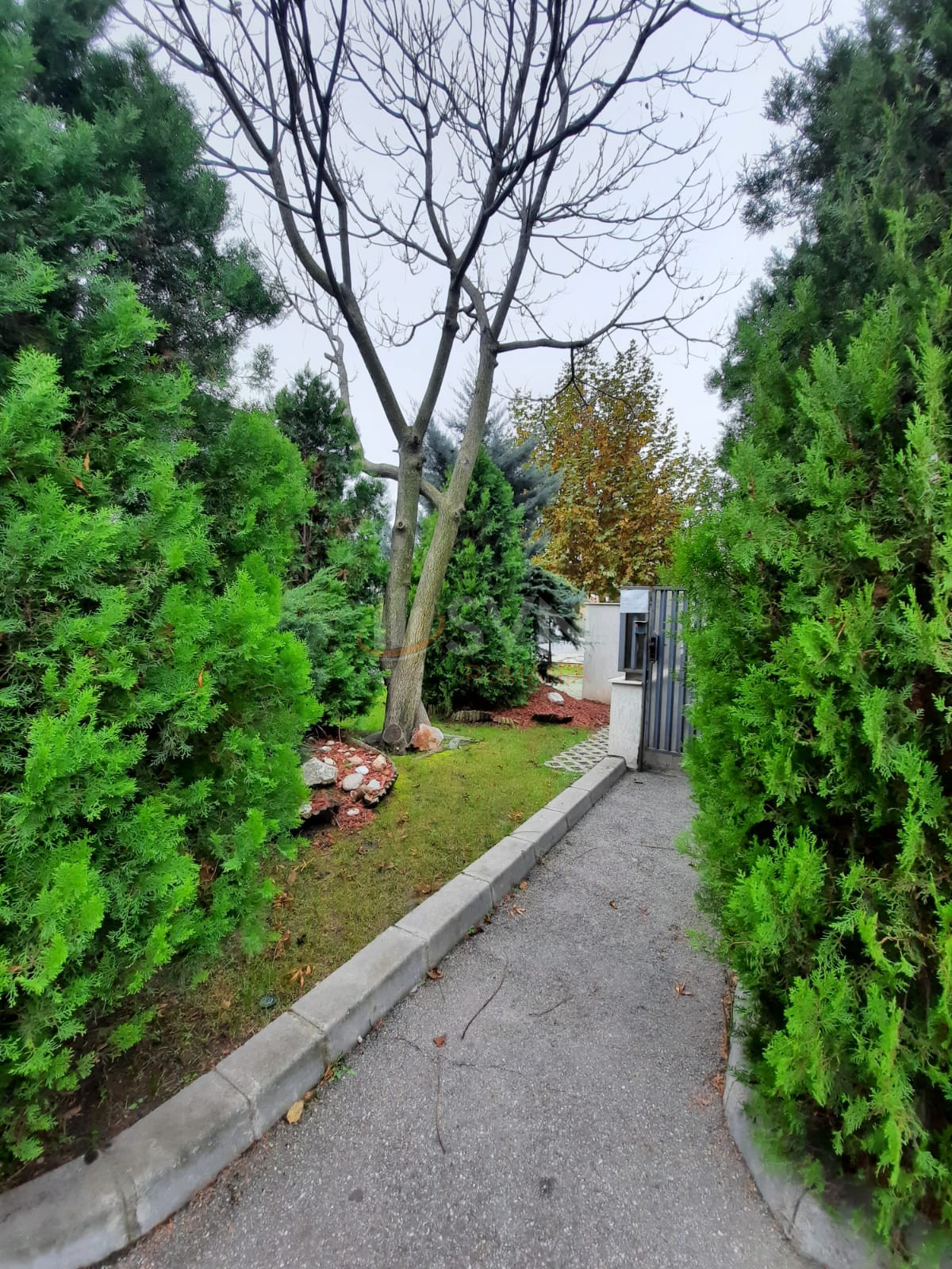 Apartament, 3 camere Bucuresti/Baneasa