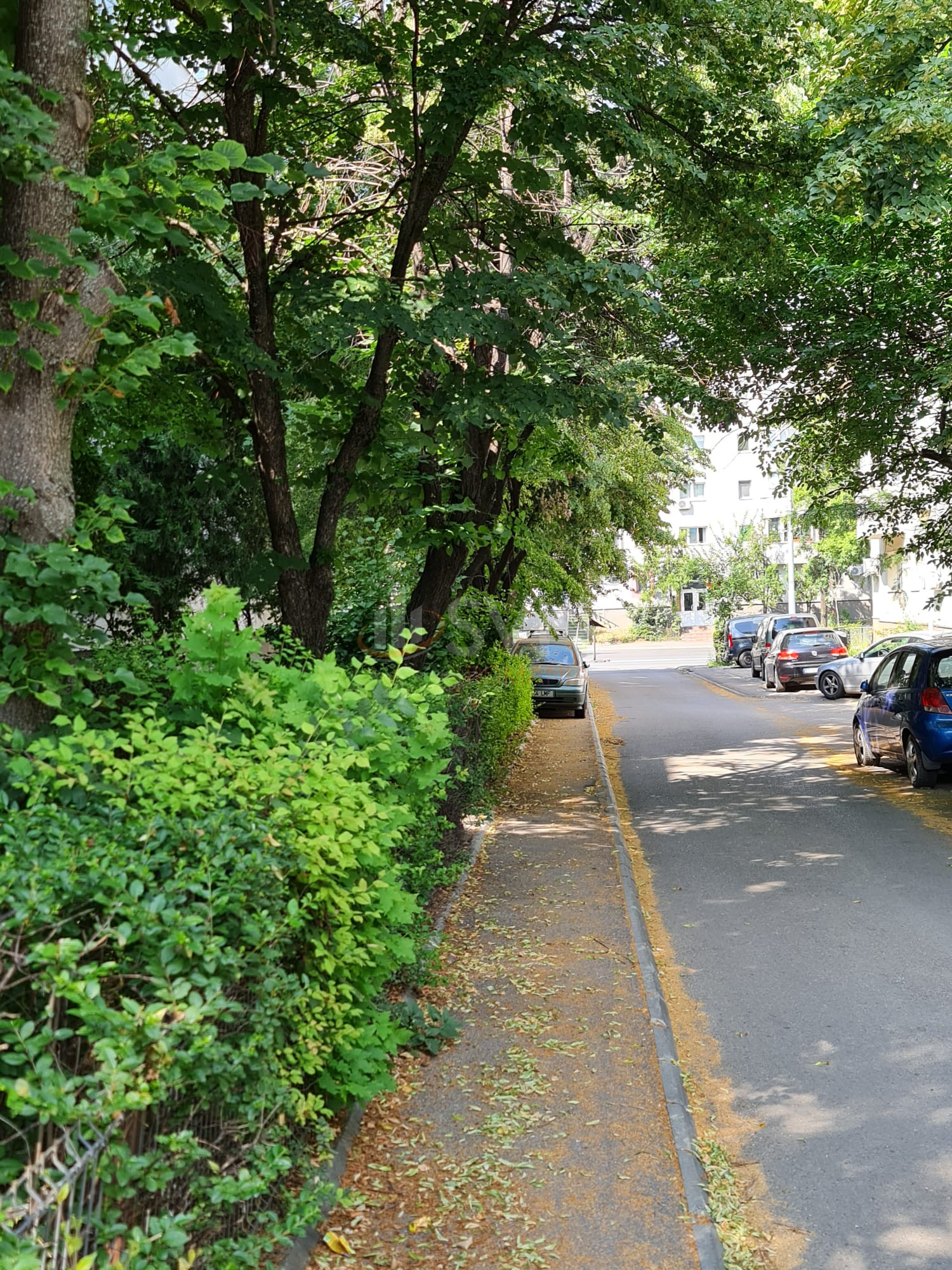 Apartament, 3 camere Bucuresti/Herastrau