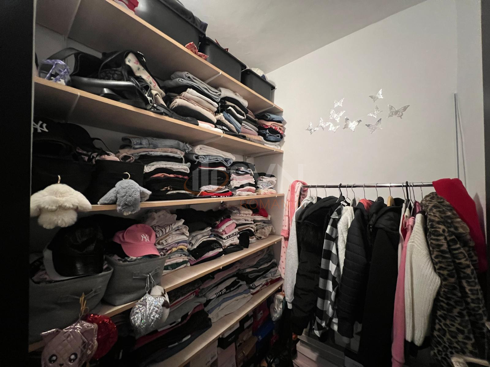 Apartament, 3 camere Ilfov/Otopeni