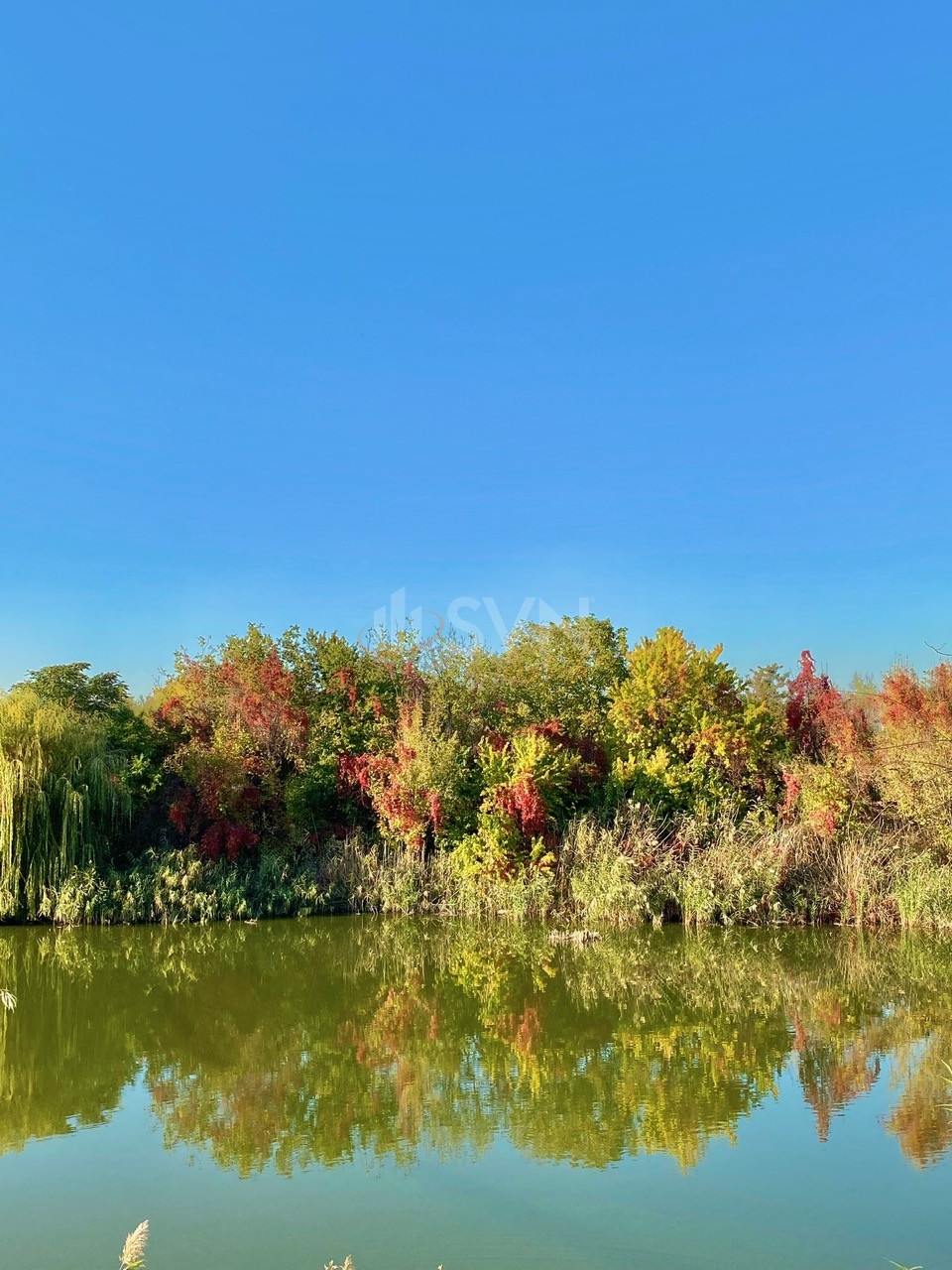 Apartament, 3 camere Bucuresti/Pipera