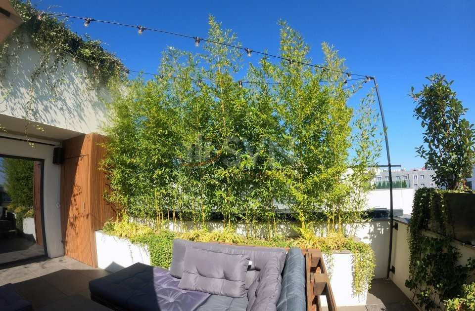 Apartament, 3 camere Bucuresti/Splaiul Independentei