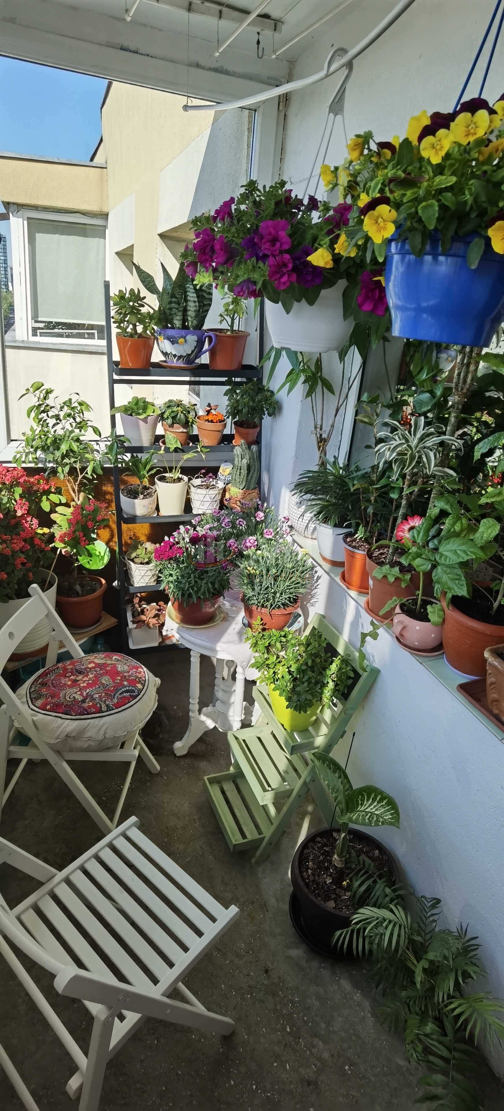 Apartament, 3 camere Bucuresti/Lacul Tei