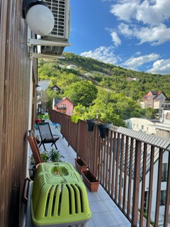 Apartament, 3 camere Cluj/Grigorescu