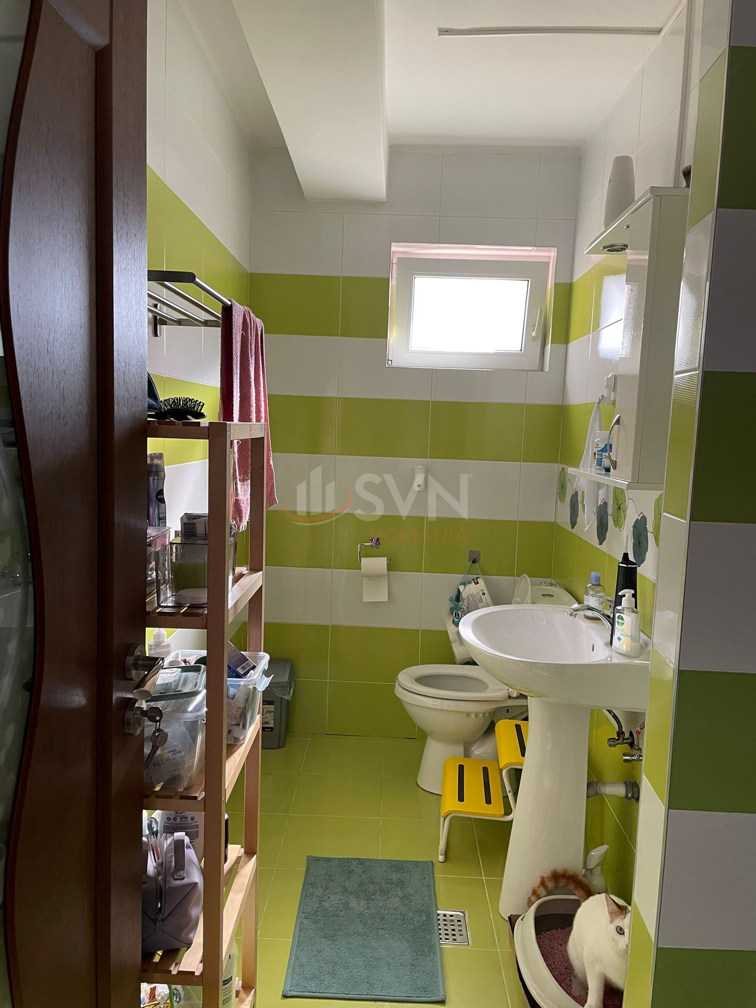 Apartament, 3 camere Cluj/Grigorescu