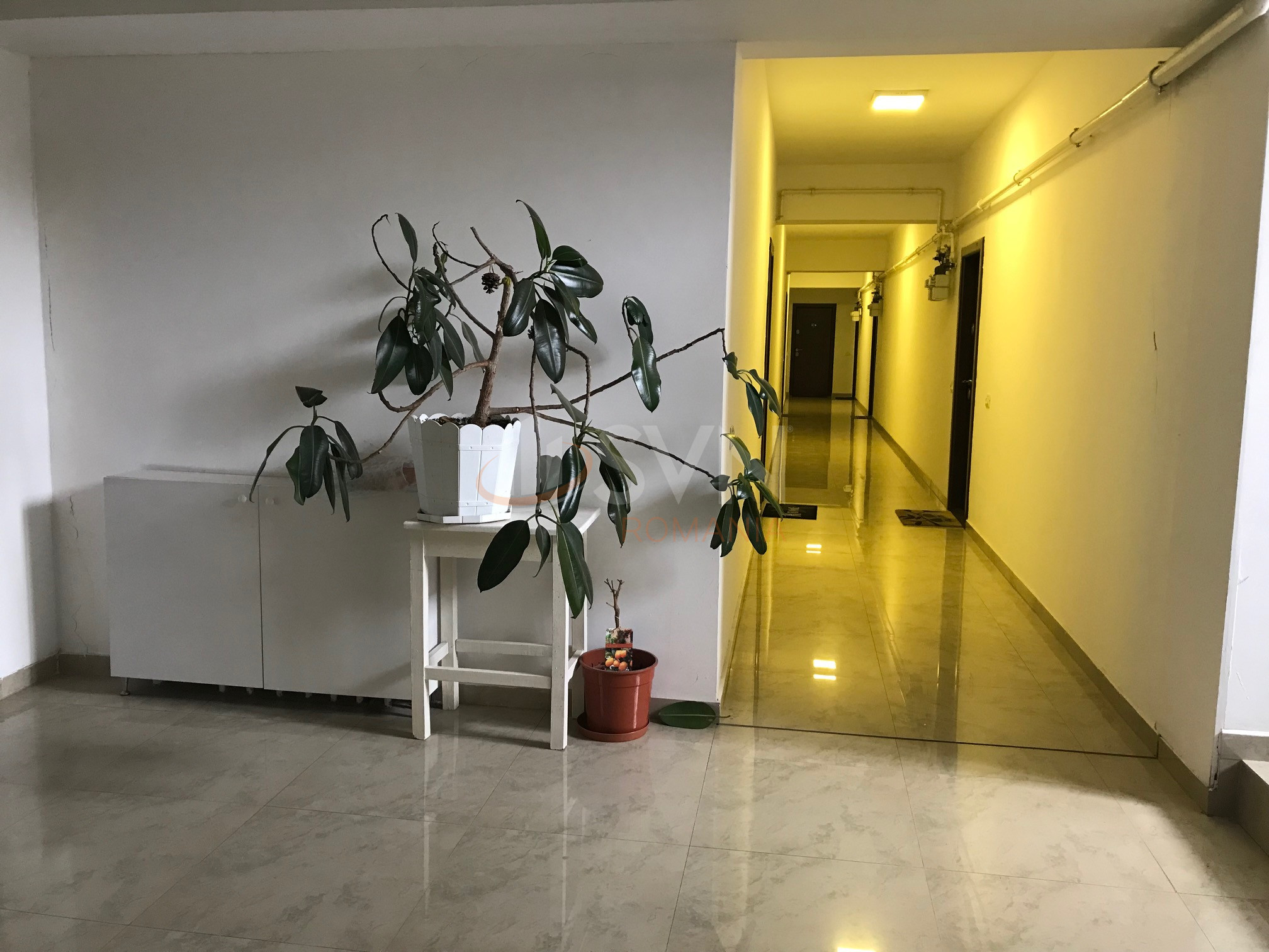 Apartament, 3 camere Bucuresti/Bucurestii Noi