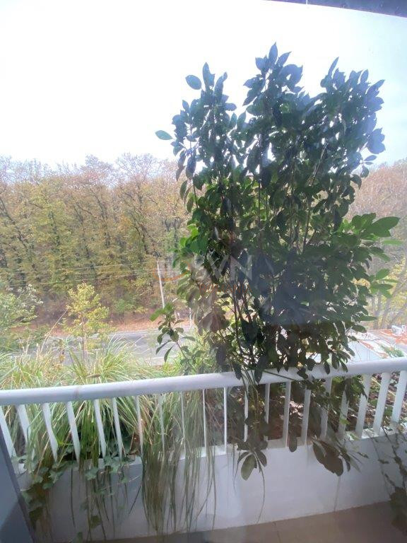 Apartament, 3 camere Bucuresti/Baneasa