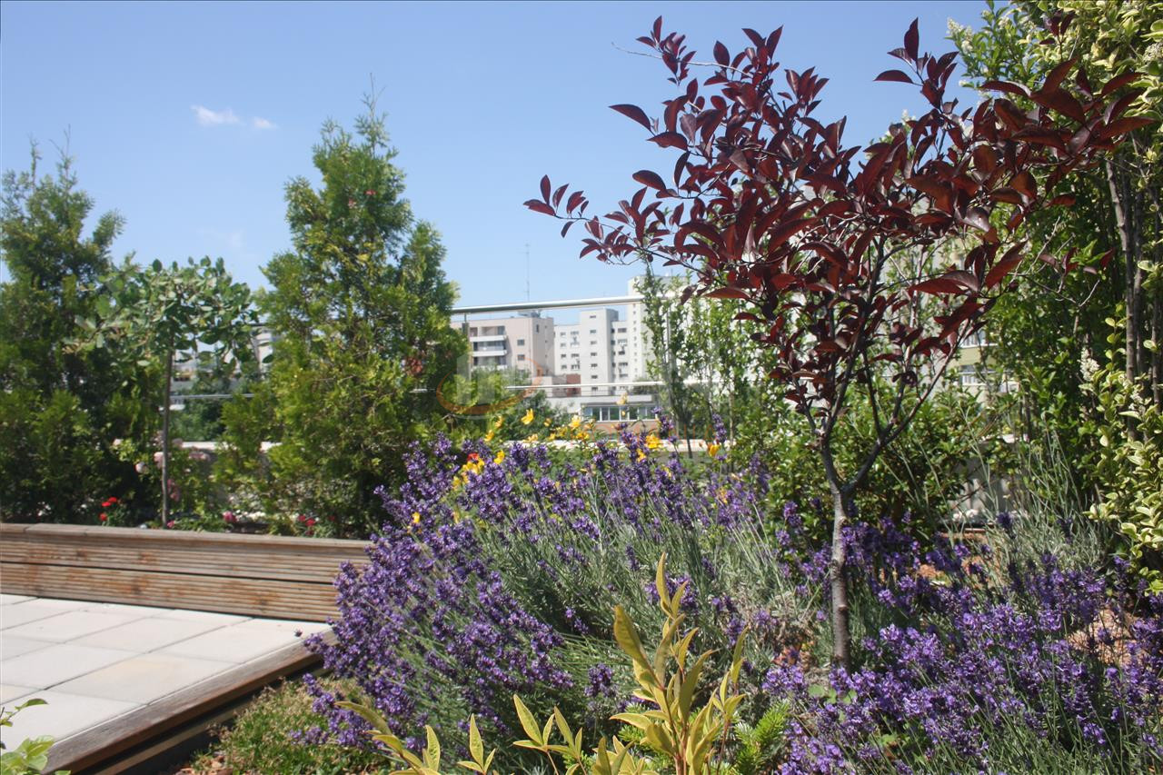 Apartament, 3 camere Bucuresti/Piata Victoriei