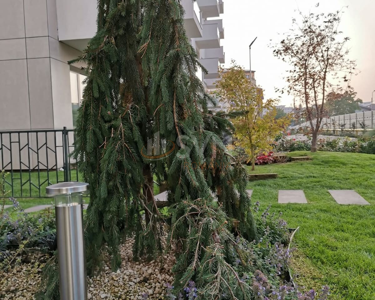 Apartament, 3 camere Bucuresti/Grivita