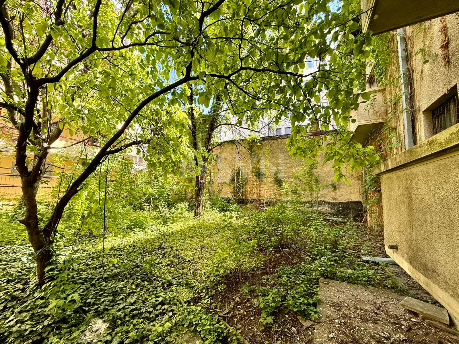 Apartament, 3 camere Bucuresti/Aviatorilor