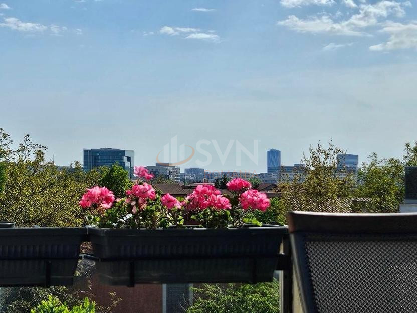 Apartament, 3 camere Ilfov/Voluntari