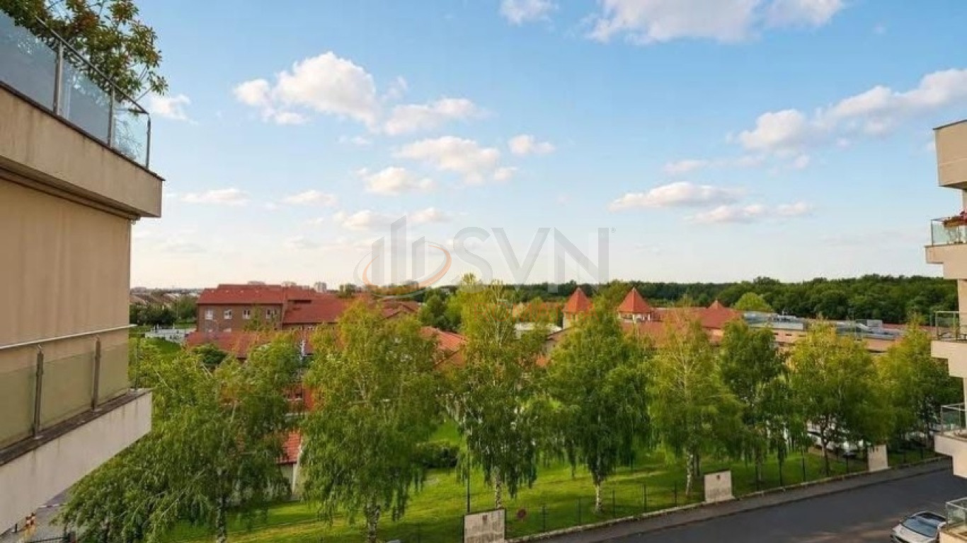 Apartament, 3 camere Ilfov/Centru