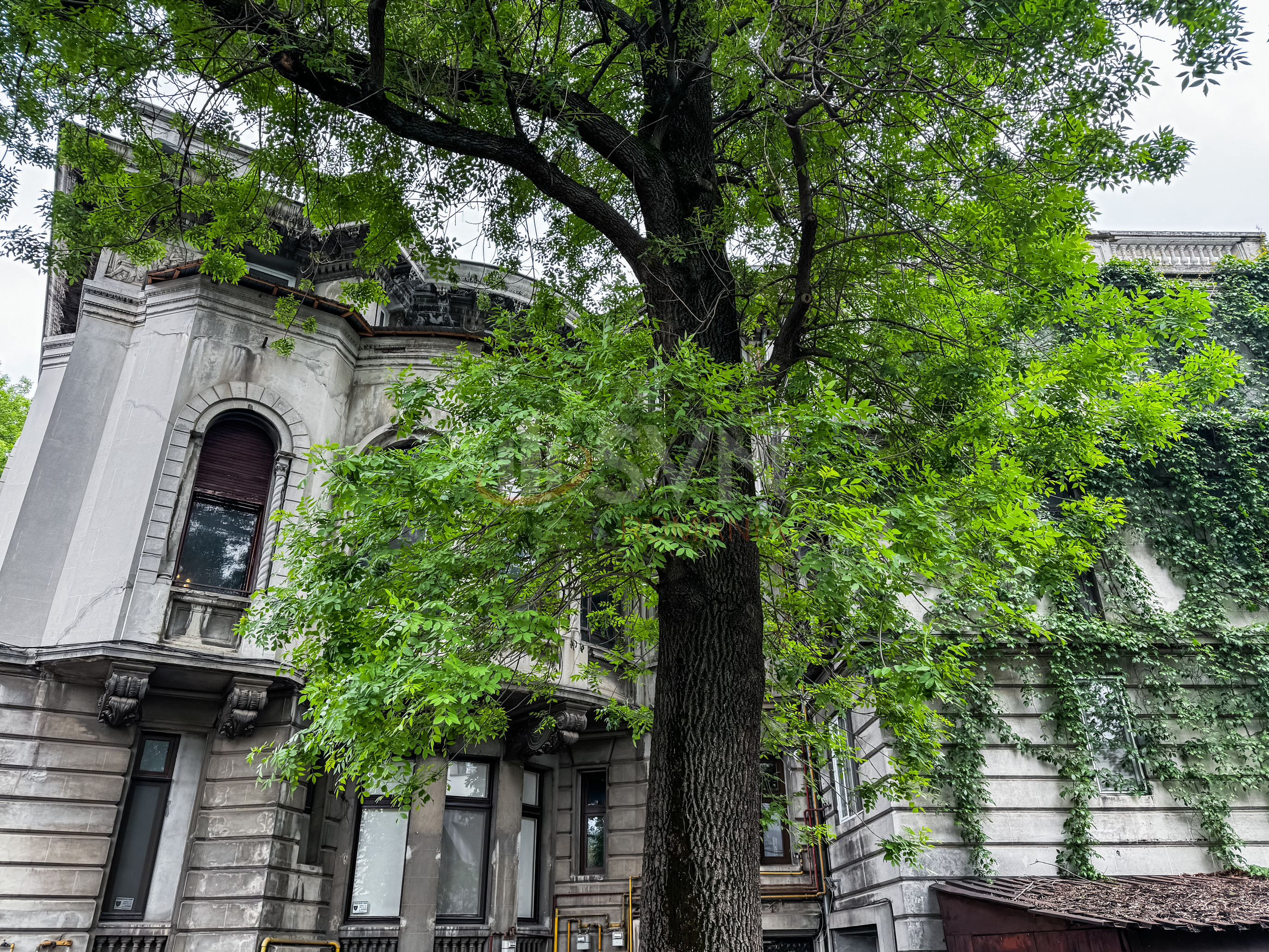 Apartament, 3 camere Bucuresti/Capitale