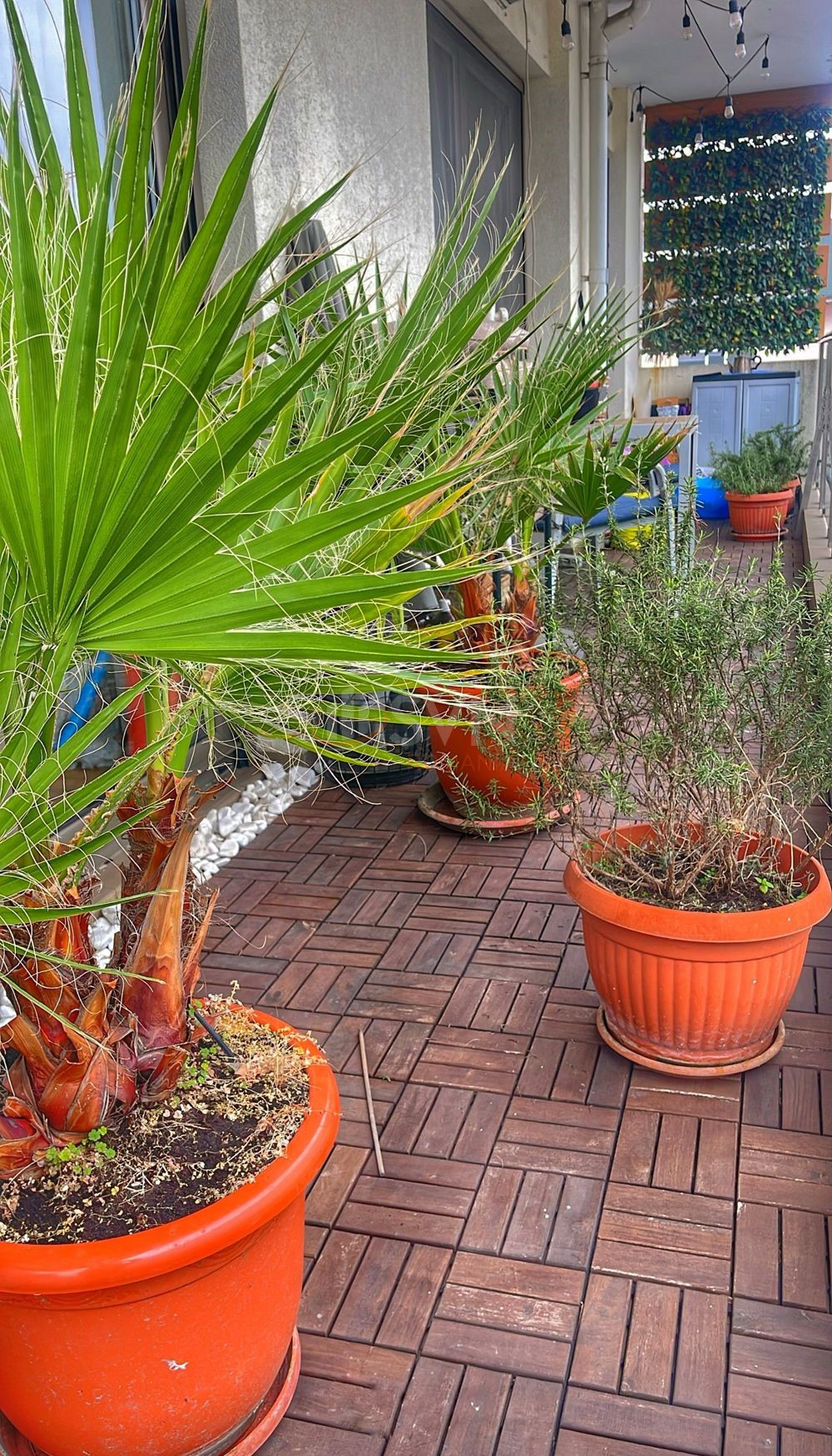 Apartament, 3 camere Bucuresti/Iancului