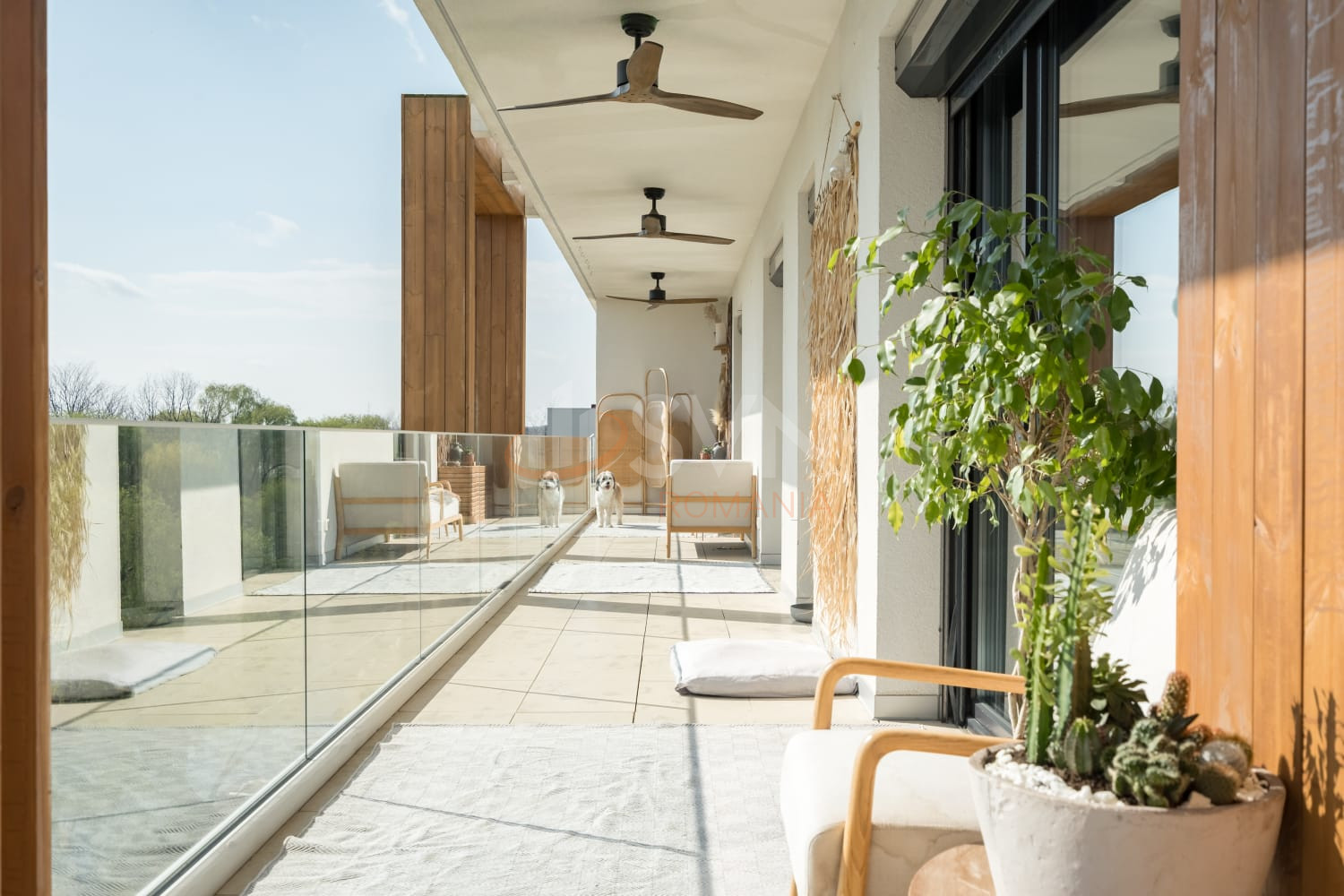 Apartament, 3 camere Bucuresti/Baneasa