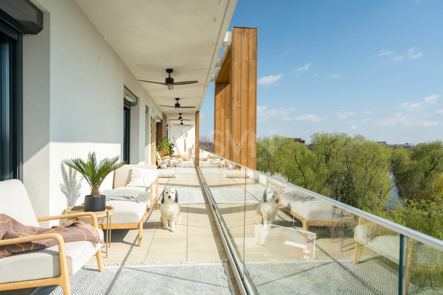 Apartament, 3 camere Bucuresti/Baneasa