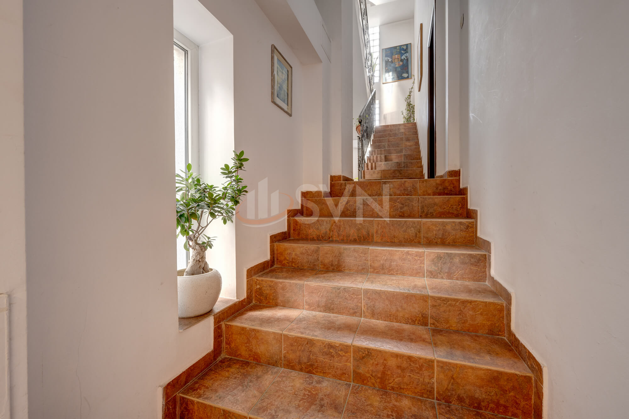 Apartament, 3 camere Bucuresti/Polona