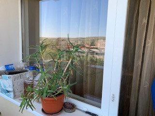 Apartament, 3 camere Cluj/Marasti