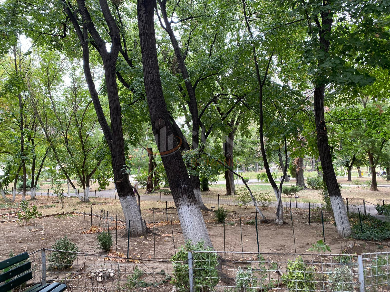 Apartament, 4 camere Bucuresti/Floreasca