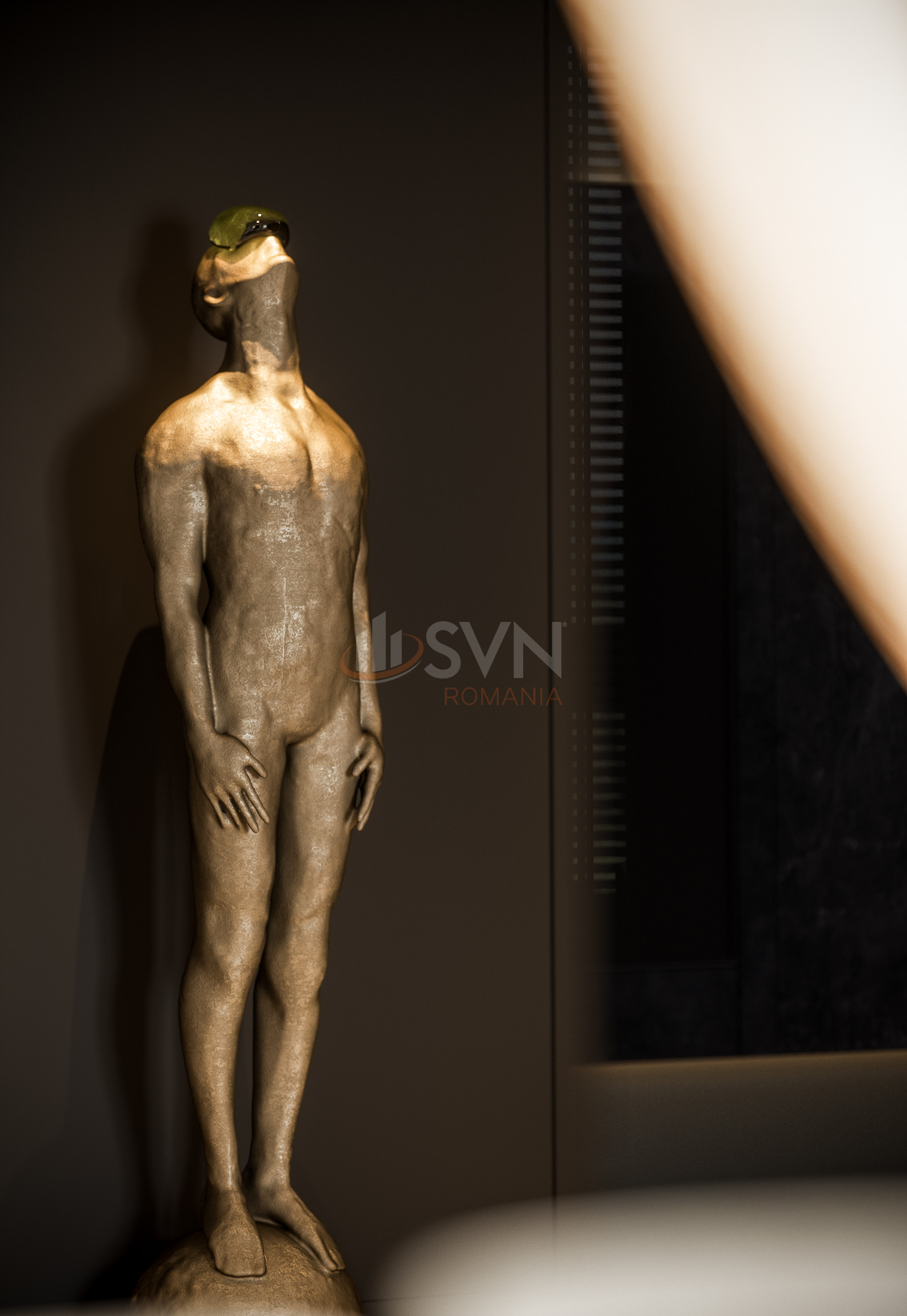 Apartament, 4 camere Bucuresti/Baneasa